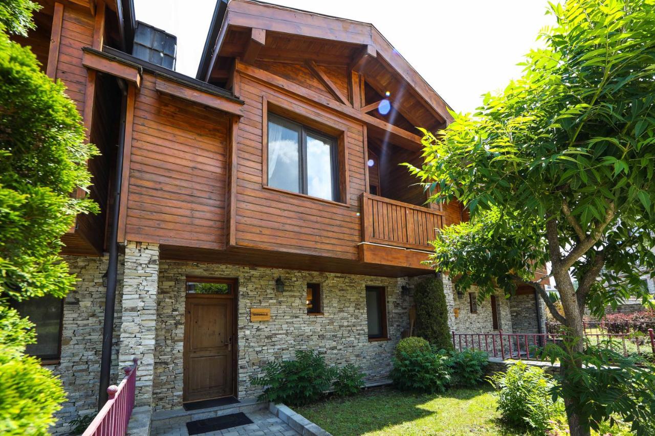 Lake View House Bansko Bagian luar foto